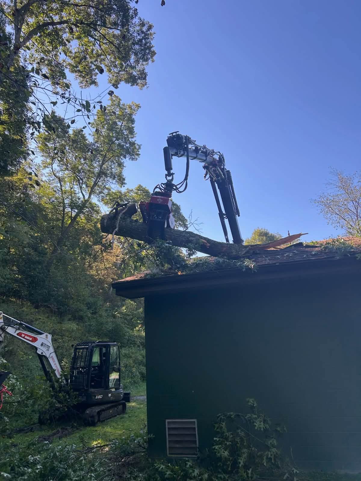Tree Service in the Greater Pittsburgh Area crew cutting a large tree in Rochester, PA