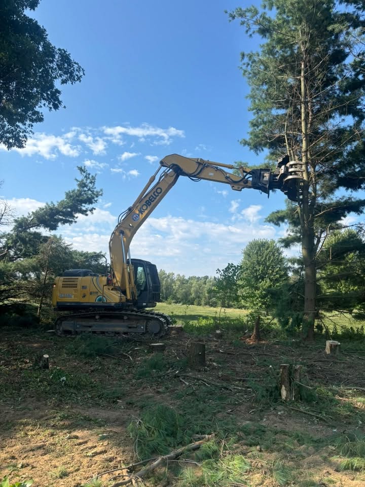 Tree removal work in Rochester PA